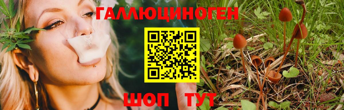 Ковров  сколько стоит  Вход с VPN  Псилоцибиновые грибы ЛСД  Псилоцибиновые грибы MAGIC MUSHROOMS 