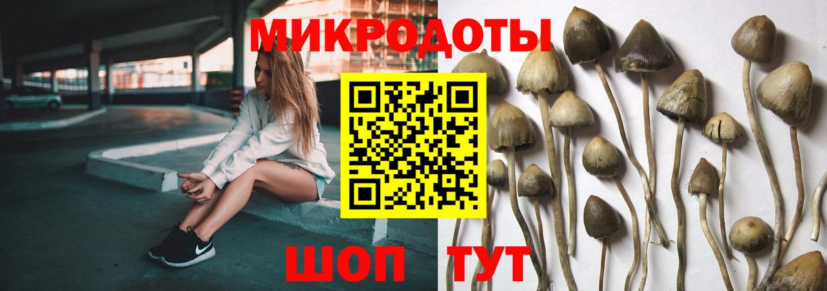 Псилоцибиновые грибы прущие грибы Ковров